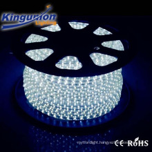 Hot Popular China Alibaba LED Landscape Lamps LED Flexible Strip Light Series SMD 5050 RoHS ERP CE